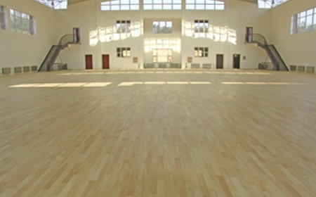 十五中学体育馆 