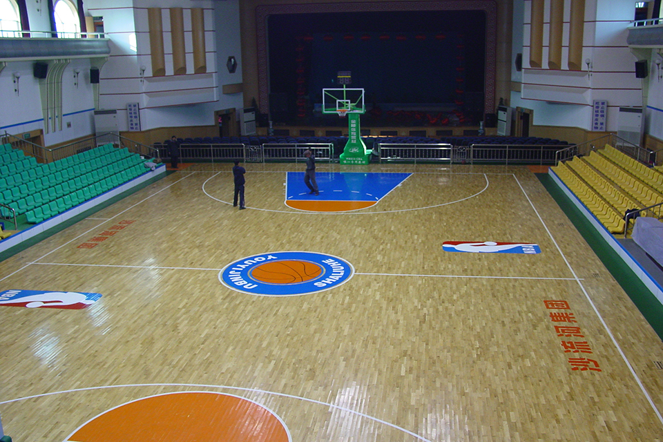 沙流河集团篮球馆  